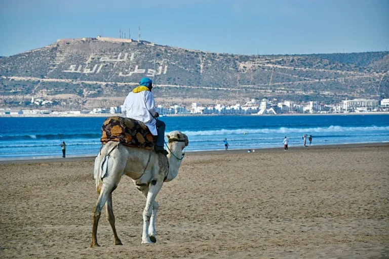 things to do in agadir