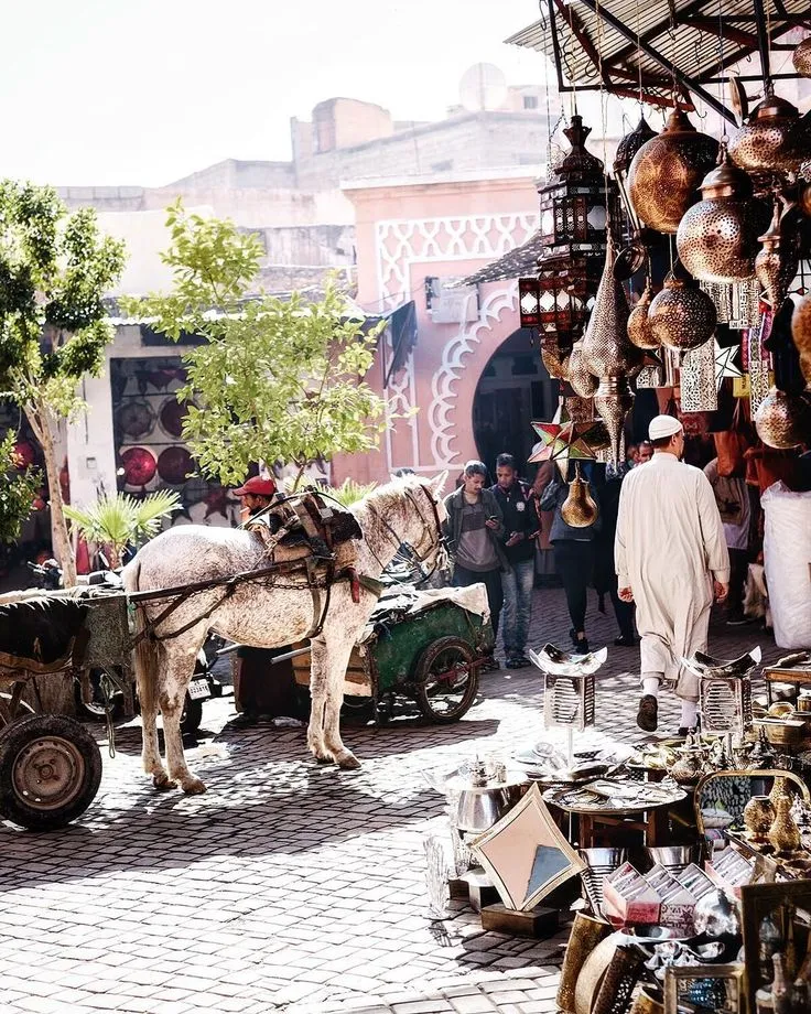 A white horse and cart standing in a busy, sunlit square in the Marrakech Medina surrounded by hanging metal lamps.