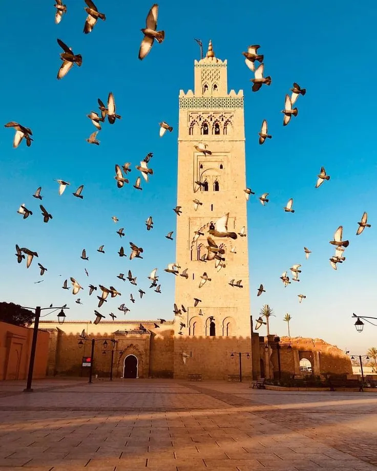 Low angle view of the Koutoubia Mosque minaret in Marrakech with a flock of pigeons flying against a clear blue sky.