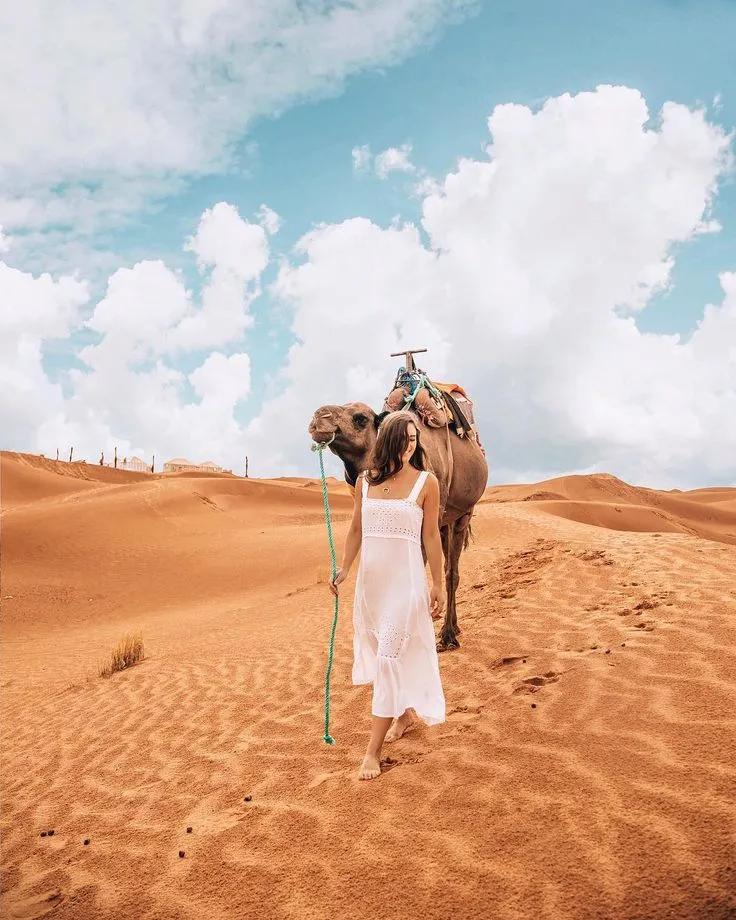 Woman walking barefoot on orange sand dunes leading a camel through the Sahara Desert in Merzouga, Morocco.